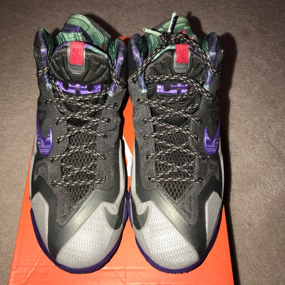 Nike Other - GRADESCHOOL LEBRON XI